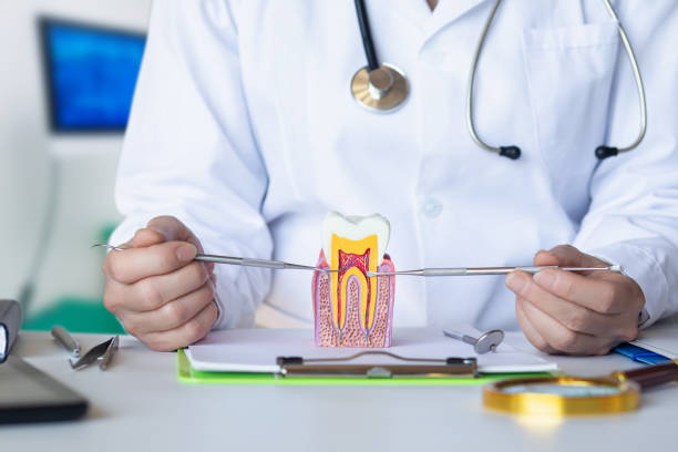Best Emergency Orthodontic Repairs in Kingsley, IA